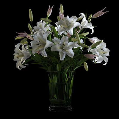 Beautiful White Blooming Lilies in Transparent Glass Vase on Black Background 3d model