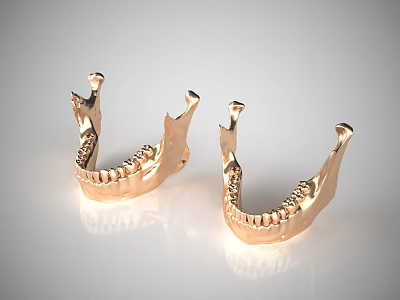 Golden Dental Jaw Sculptures with Intricate Tooth Details and Metallic Finish 3d model