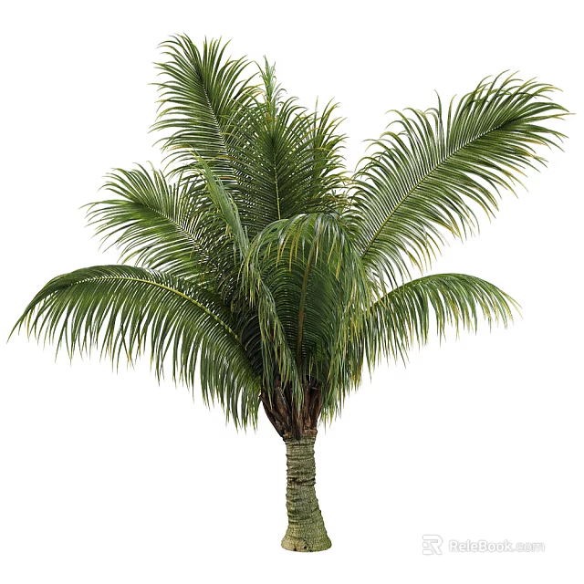 Lush Palm Tree With Long Green Fronds And Sturdy Brown Trunk 3d model 