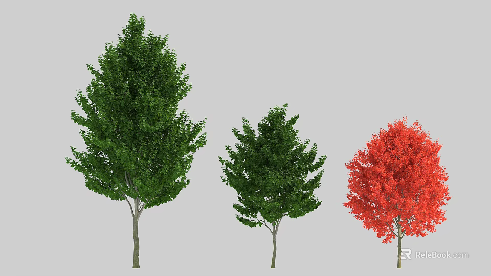 Three Different Size Arbor Trees With Green And Red Foliage In Garden Landscape 3d model 
