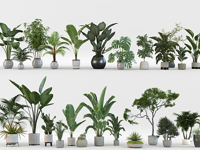 Various Potted Green Plants With Ceramic Metal Pots And Diverse Leaf Shapes 3d model