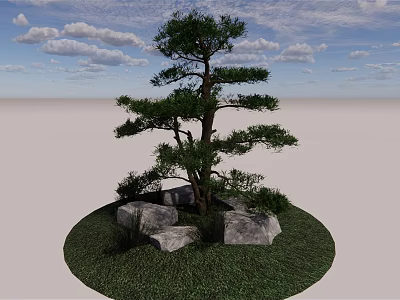 Tall Evergreen Tree Growing In Circular Grass Area With Rocks And Blue Sky 3d model