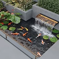 Elegant Water Fountain With Koi Fish And Lotus Leaves In Garden