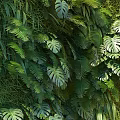 Living Plant Wall With Lush Green Foliage And Diverse Indoor Plant Design