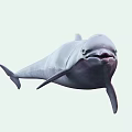 Majestic Aquatic Dolphin Naturally Leaping High In Sparkling Blue Ocean Water