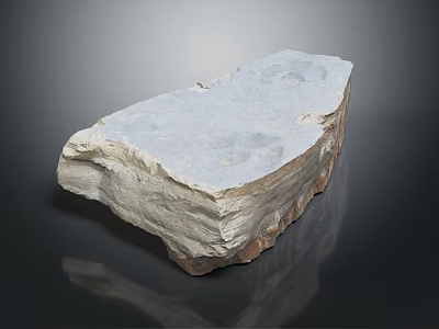 Wooden Stone Natural Slab With Gray Surface And Brown Rough Texture For Decoration 3d model