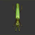 Green Mantis 3D Model Standing With Yellow Legs And Antenna On Reflective Surface
