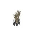Modern Decorative Ornament Set with Various Sizes Black Vases and Dried Grasses