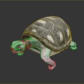 Turtle Turtle Cartoon Turtle Snapping Turtle Chickbill Turtle Reptile Cold Blooded Animal Reptile Reptile Class 3d model