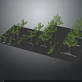 Neatly Arranged Landscape Tree Models On Black Platform With Various Sizes