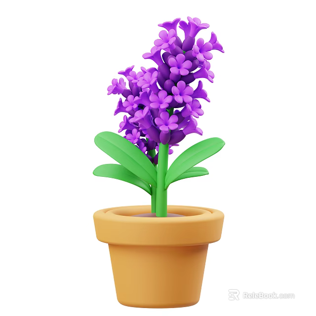 Beautiful Purple Hyacinth Plant With Green Leaves In Terracotta Pot 3d model 