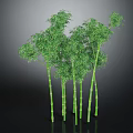 Healthy Lush Green Bamboo Plants With Multiple Tall Stalks And Dense Foliage