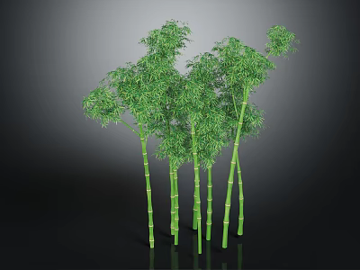 Healthy Lush Green Bamboo Plants With Multiple Tall Stalks And Dense Foliage 3d model