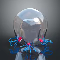 Jellyfish With Transparent Spherical Body Blue Tentacles And Red Tips On Dark Background