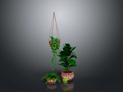 Indoor Plant Arrangement Featuring Hanging Basket Vines And Potted Large Leaf Plants 3d model