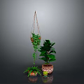 Indoor Plant Arrangement Featuring Hanging Basket Vines And Potted Large Leaf Plants