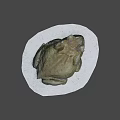 Realistic Brown Frog Statue On White Circular Base With Detailed Texture