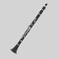 Professional Black Clarinet Woodwind Instrument with Silver Keys for Music Performance