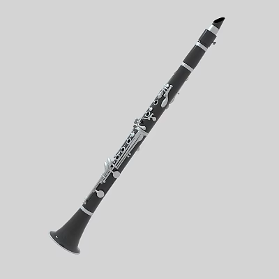 Professional Black Clarinet Woodwind Instrument with Silver Keys for Music Performance 3d model