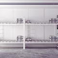 Modern Bunk Beds Interior Design With White Frame Plaid Mattress Green Plant And Gray Carpet