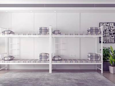 Modern Bunk Beds Interior Design With White Frame Plaid Mattress Green Plant And Gray Carpet 3d model