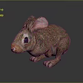 Cute Small Brown Rabbit With Big Ears Sitting On Dark Shiny Surface 3d model