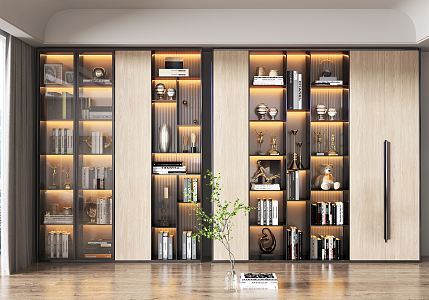 Modern bookcase 3d model