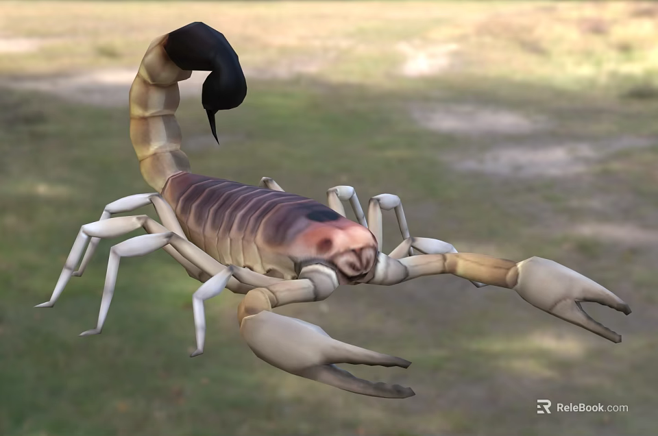 Detailed View Of Reptile Scorpion With Striped Exoskeleton Large Pincers And Curled Tail In Grassland 3d model 