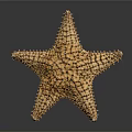 Golden Starfish With Detailed Small Projections On Dark Background With Reflection