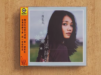 Vintage Music CD Album Cover With Female Portrait And Grass Background On Wooden Surface 3d model