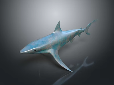 Glossy Blue Shark Aquatic Animal Model With Reflection On Dark Background 3d model