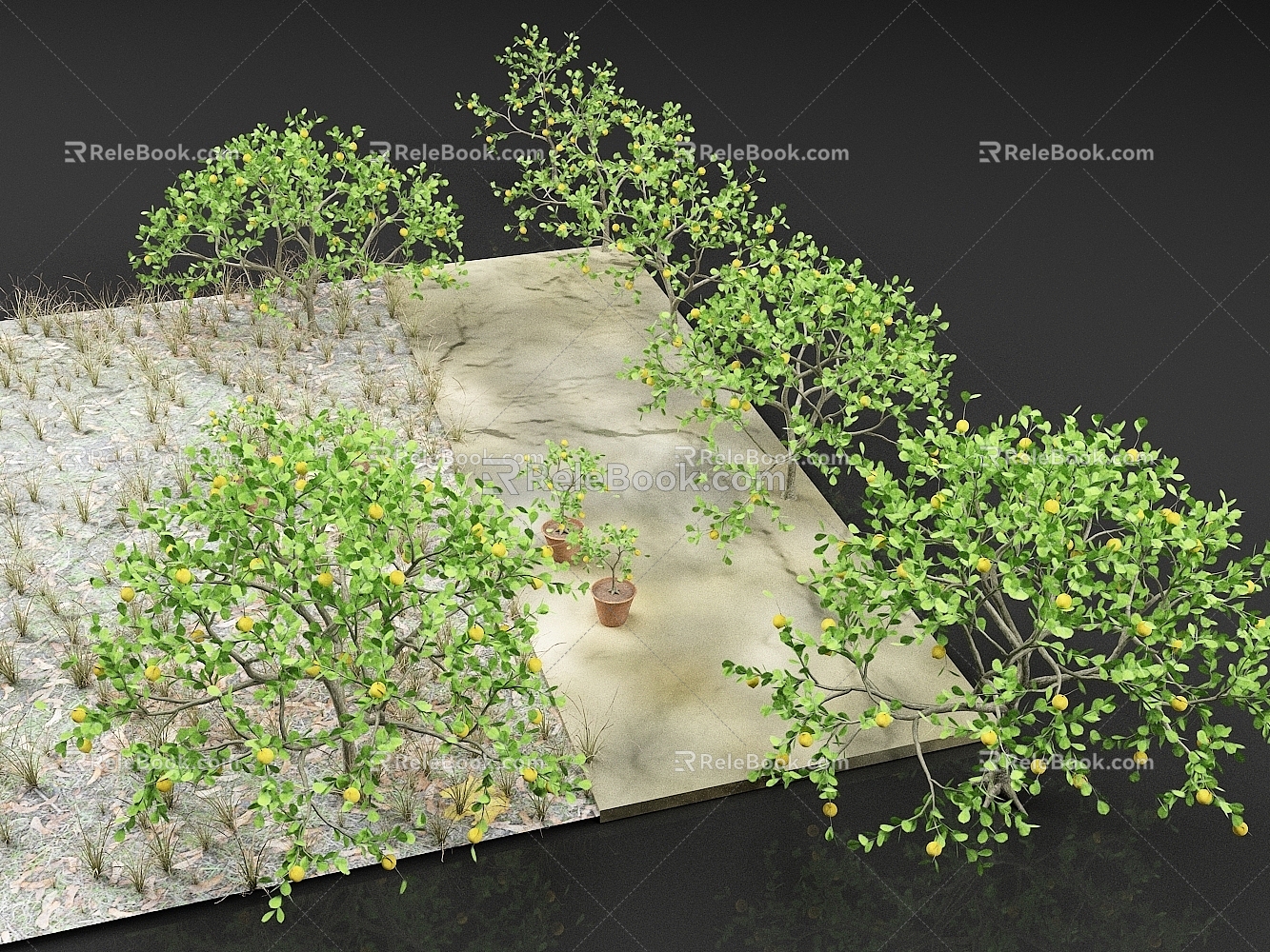 Lemon Tree Fruit Tree Orchard Plant 3d model