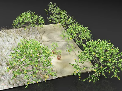 Garden Trees With Lush Green Foliage And Yellow Fruits On Slab Floor And Potted Plants 3d model
