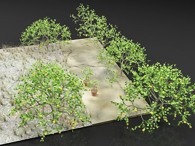 Garden Trees With Lush Green Foliage And Yellow Fruits On Slab Floor And Potted Plants 3d model