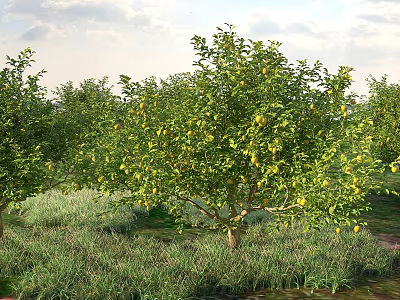 Functional Tree Pit In Orchard With Fruit Bearing Trees And Green Grass 3d model