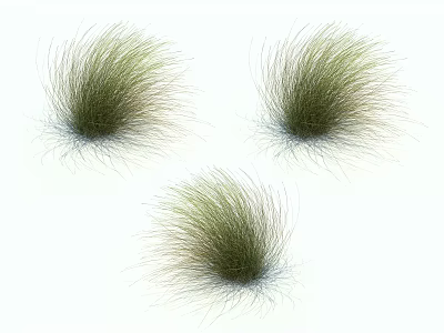 Three Isolated Feathery Green Grass Clumps with Natural Texture on White Background 3d model