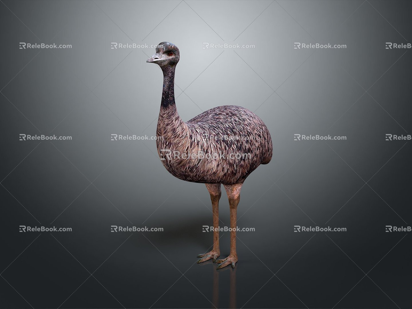 Ostrich spider bird bird bird bird game animal cartoon animal pbr animal 3d model