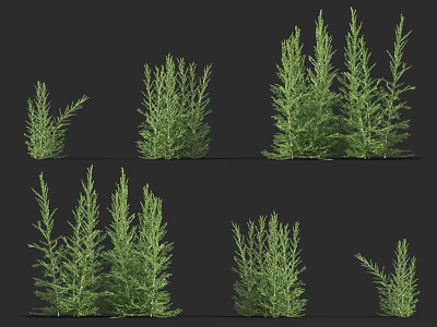 Various Green Shrubs with Different Sizes and Shapes for Garden Landscaping 3d model