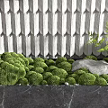 Green Plants and Moss in Black Marble Planter with White Tile Wall Art and Stone