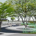 Scenic Landscape Design Featuring Lush Trees Curved Pathway Stones Green Grass And White Flowers