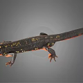 Detailed Black Salamander With Yellow Spots And Red Limbs On Gray Background