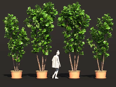 Multiple Green Lush Potted Shrubs For Outdoor Garden Decor With Figure 3d model