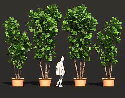 Multiple Green Lush Potted Shrubs For Outdoor Garden Decor With Figure 3d model