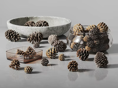 Various Pine Cones Decorative Display With Stone Bowl Glass Jar And Transparent Container 3d model