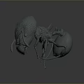 3D Rendered Beetle Insect Model Featuring Detailed Textured Surface Legs And Antennae