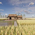 Rural Landscape With Thatched Roof Cottages Rice Fields Blue Sky And Trees