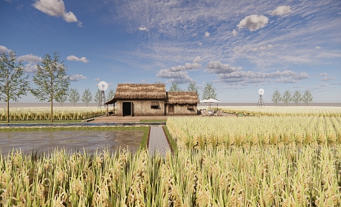 Modern paddy rural agricultural landscape 3d model