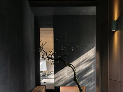 Contemporary Entryway Hallway Design With Gray Walls Decorative Branch Light Shadow Effects And Wooden Accents 3d model