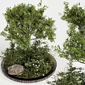 Lush Arbor With Green Foliage Stone And White Flowers In Garden