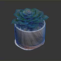Green Leaf Succulent Plant in Wooden Pot with Orange Rim and Small Pebbles